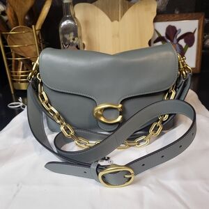 Sage Green Coach Chain Tabby